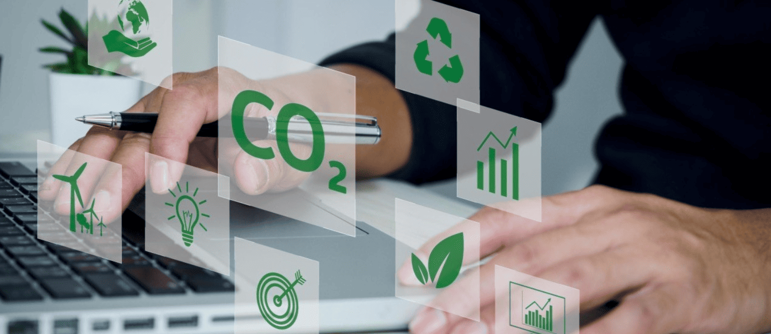 Sustainability-Consultant-Career
