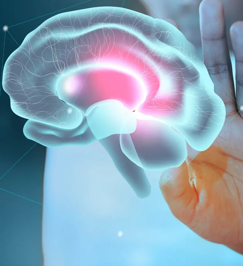 NEUROSCIENCE AUTHORITY